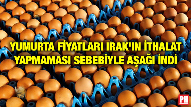 YUMURTA FİYATLARI IRAK’IN İTHALAT YAPMAMASI SEBEBİYLE AŞAĞI İNDİ