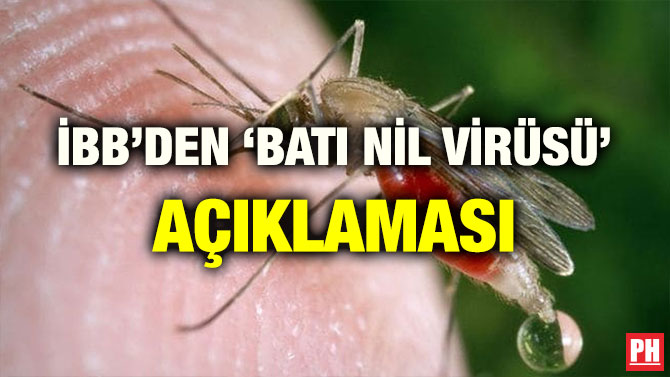 İBB’DEN ‘BATI NİL VİRÜSÜ’ AÇIKLAMASI
