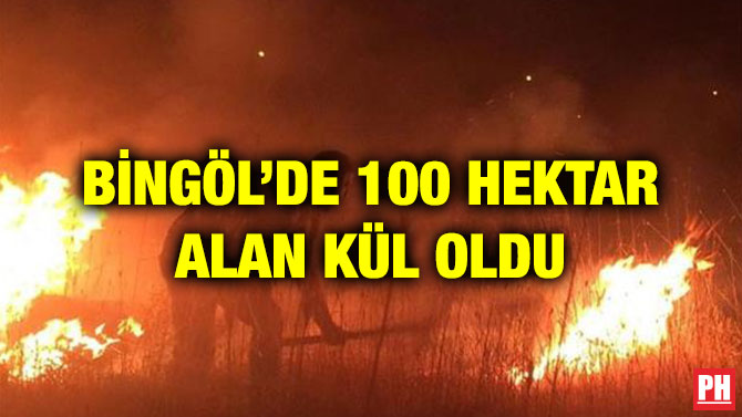 BİNGÖL’DE 100 HEKTAR ALAN KÜL OLDU