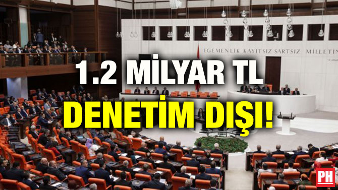 1.2 MİLYAR TL DENETİM DIŞI!
