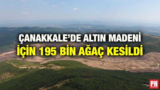 ÇANAKKALE’DE ALTIN MADENİ İÇİN 195 BİN AĞAÇ KESİLDİ