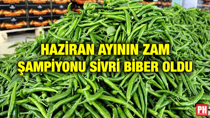 HAZİRAN AYININ ZAM ŞAMPİYONU SİVRİ BİBER OLDU