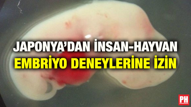 JAPONYA’DAN İNSAN-HAYVAN EMBRİYO DENEYLERİNE İZİN