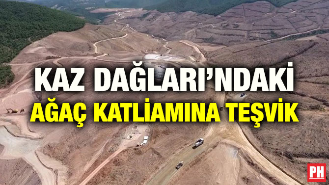 KAZ DAĞLARI’NDAKİ AĞAÇ KATLİAMINA TEŞVİK