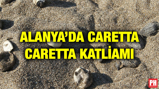 ALANYA’DA CARETTA CARETTA KATLİAMI