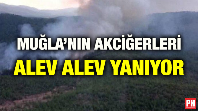 MUĞLA’NIN AKCİĞERLERİ ALEV ALEV YANIYOR