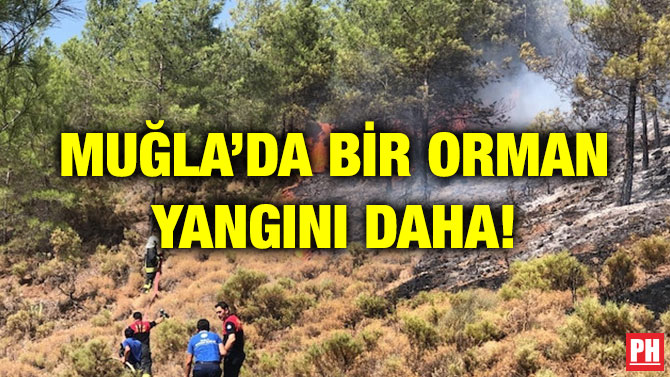 MUĞLA’DA BİR ORMAN YANGINI DAHA!