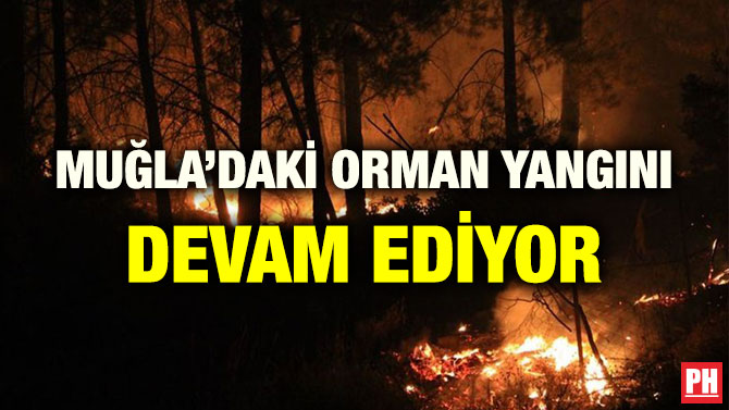 MUĞLA’DAKİ ORMAN YANGINI DEVAM EDİYOR