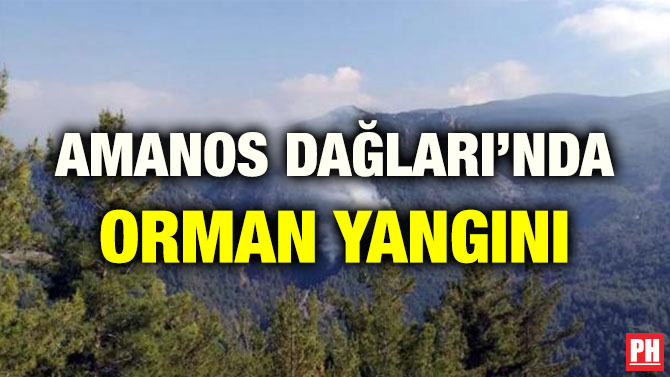 AMANOS DAĞLARI’NDA ORMAN YANGINI