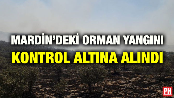 MARDİN’DEKİ ORMAN YANGINI KONTROL ALTINA ALINDI