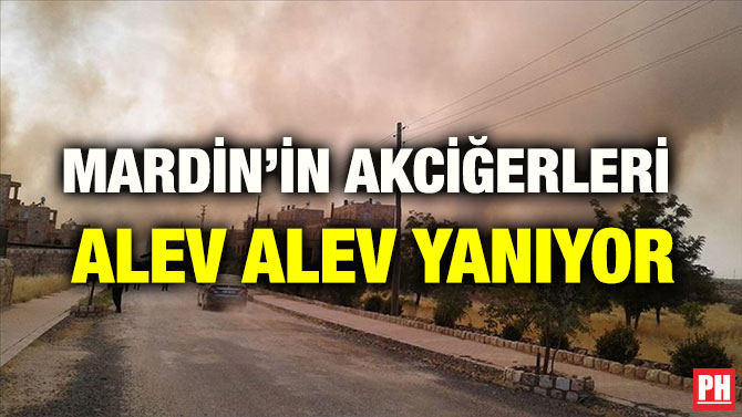 MARDİN’İN AKCİĞERLERİ ALEV ALEV YANIYOR