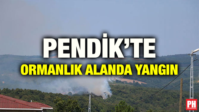 PENDİK’TE ORMANLIK ALANDA YANGIN