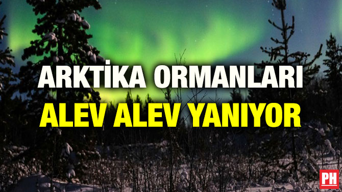 ARKTİKA ORMANLARI ALEV ALEV YANIYOR