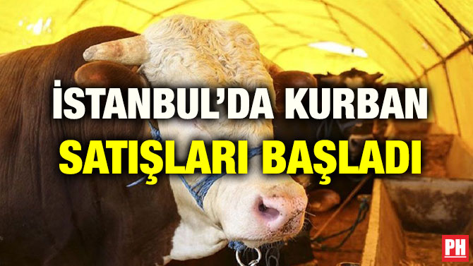 İSTANBUL’DA KURBAN SATIŞLARI BAŞLADI