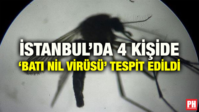 İSTANBUL’DA 4 KİŞİDE ‘BATI NİL VİRÜSÜ’ TESPİT EDİLDİ