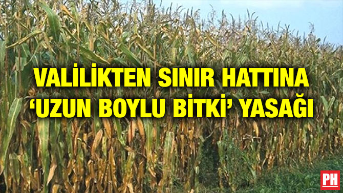 VALİLİKTEN SINIR HATTINA ‘UZUN BOYLU BİTKİ’ YASAĞI