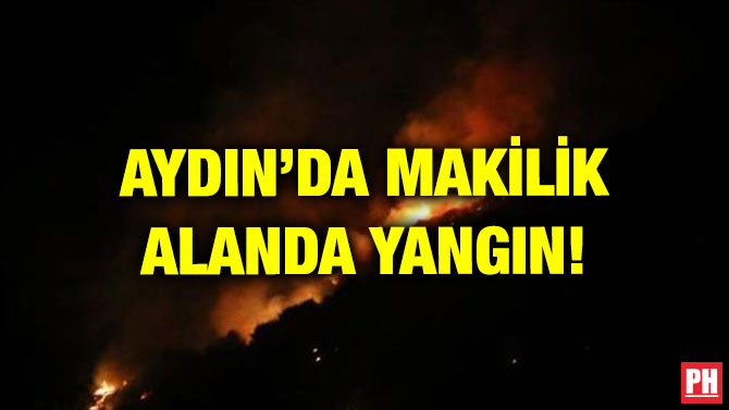 AYDIN’DA MAKİLİK ALANDA YANGIN!