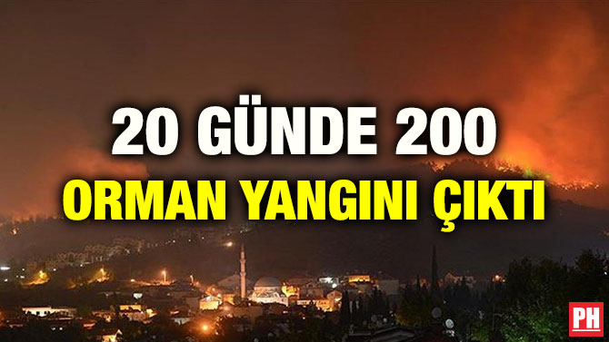 20 GÜNDE 200 ORMAN YANGINI ÇIKTI