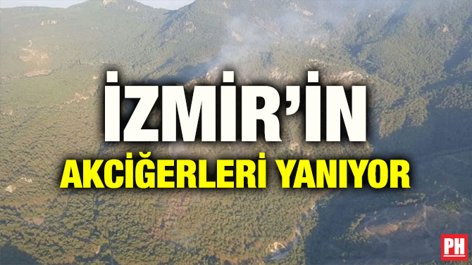 İZMİR’İN AKCİĞERLERİ YANIYOR