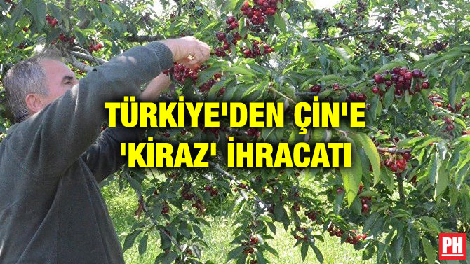 TÜRKİYE’DEN ÇİN’E ‘KİRAZ’ İHRACATI