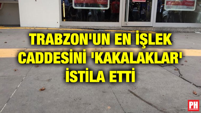 TRABZON’UN EN İŞLEK CADDESİNİ ‘KAKALAKLAR’ İSTİLA ETTİ