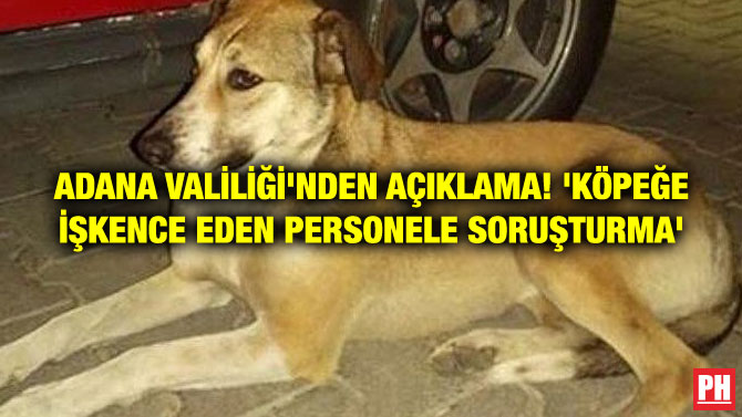 ADANA VALİLİĞİ’NDEN AÇIKLAMA! ‘KÖPEĞE İŞKENCE EDEN PERSONELE SORUŞTURMA’