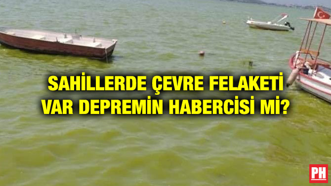 SAHİLLERDE ÇEVRE FELAKETİ VAR DEPREMİN HABERCİSİ Mİ?