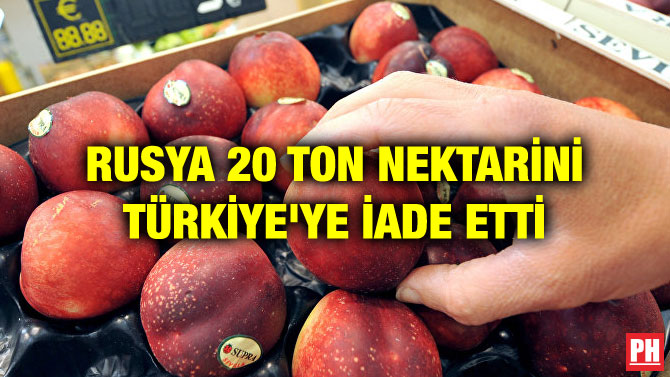 RUSYA 20 TON NEKTARİNİ TÜRKİYE’YE İADE ETTİ