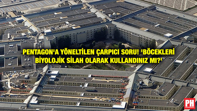 PENTAGON’A YÖNELTİLEN ÇARPICI SORU! ‘BÖCEKLERİ BİYOLOJİK SİLAH OLARAK KULLANDINIZ MI?’