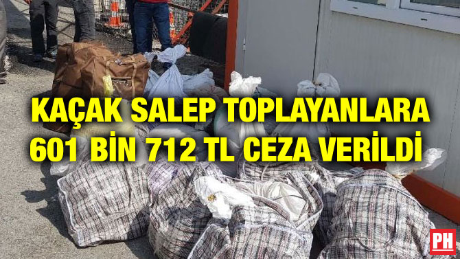 KAÇAK SALEP TOPLAYANLARA 601 BİN 712 TL CEZA VERİLDİ