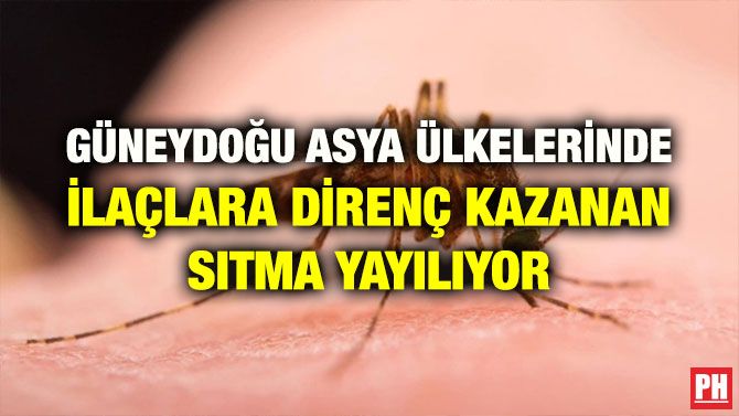 GÜNEYDOĞU ASYA ÜLKELERİNDE İLAÇLARA DİRENÇ KAZANAN SITMA YAYILIYOR