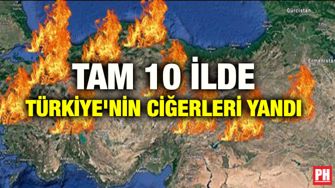 TAM 10 İLDE TÜRKİYE’NİN CİĞERLERİ YANDI