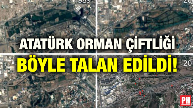 ATATÜRK ORMAN ÇİFTLİĞİ BÖYLE TALAN EDİLDİ!