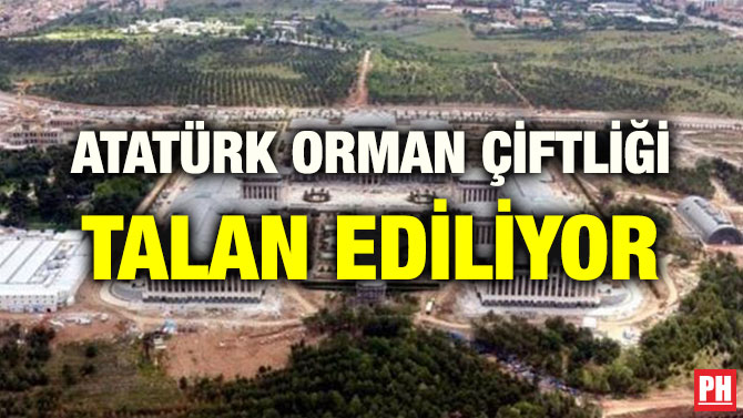 ATATÜRK ORMAN ÇİFTLİĞİ TALAN EDİLİYOR