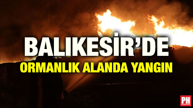 BALIKESİR’DE ORMANLIK ALANDA YANGIN