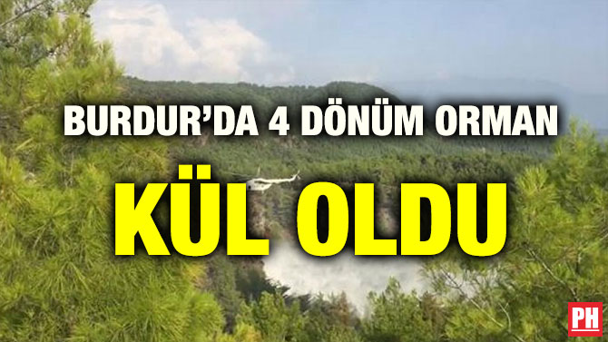 BURDUR’DA 4 DÖNÜM ORMAN KÜL OLDU