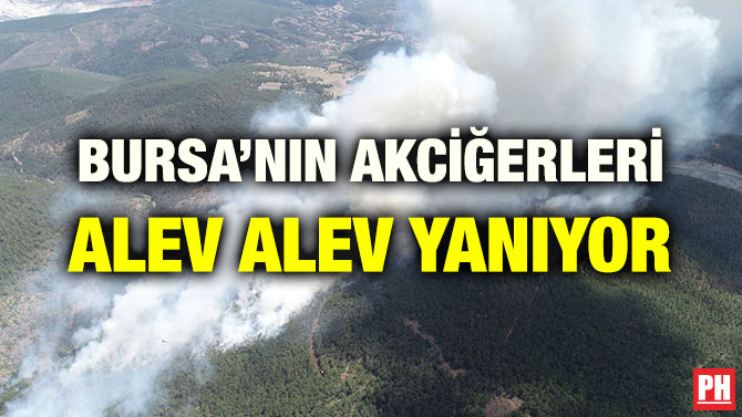 BURSA’NIN AKCİĞERLERİ ALEV ALEV YANIYOR