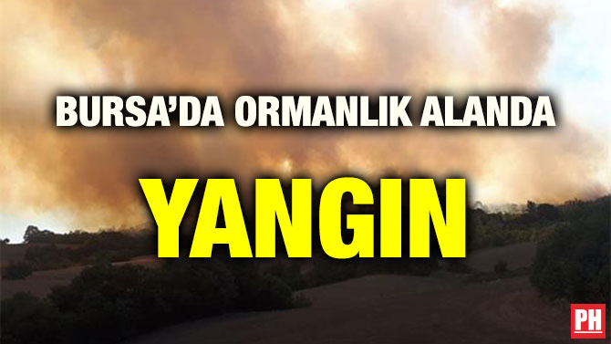 BURSA’DA ORMANLIK ALANDA YANGIN