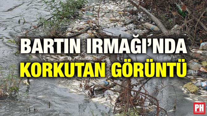 BARTIN IRMAĞI’NDA KORKUTAN GÖRÜNTÜ