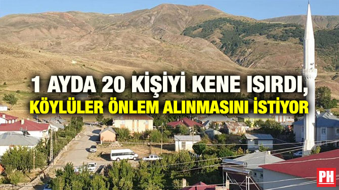 1 AYDA 20 KİŞİYİ KENE ISIRDI, KÖYLÜLER ÖNLEM ALINMASINI İSTİYOR