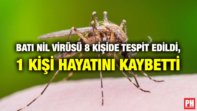 BATI NİL VİRÜSÜ 8 KİŞİDE TESPİT EDİLDİ, 1 KİŞİ HAYATINI KAYBETTİ