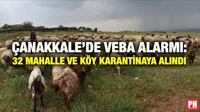 ÇANAKKALE’DE VEBA ALARMI: 32 MAHALLE VE KÖY KARANTİNAYA ALINDI