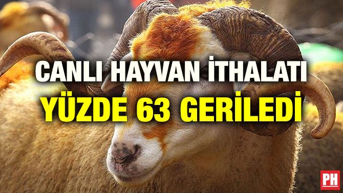 CANLI HAYVAN İTHALATI YÜZDE 63 GERİLEDİ