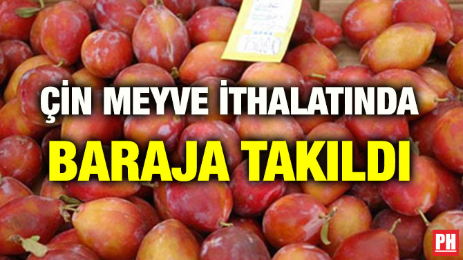 ÇİN MEYVE İTHALATINDA BARAJA TAKILDI