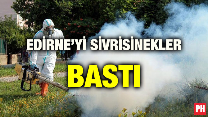 EDİRNE’Yİ SİVRİSİNEKLER BASTI