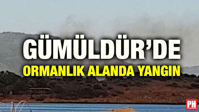 GÜMÜLDÜR’DE ORMANLIK ALANDA YANGIN