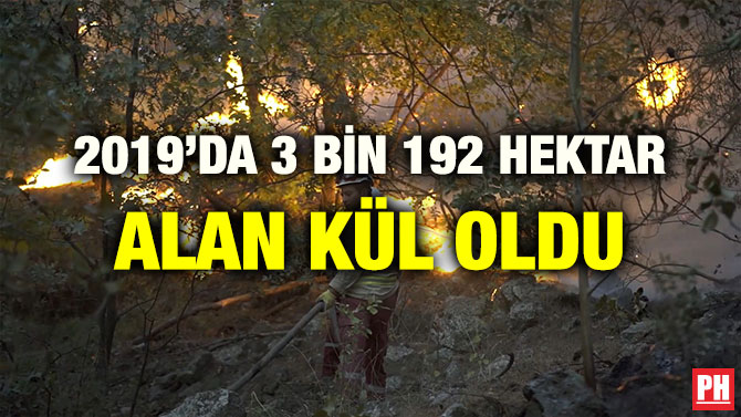 2019’DA 3 BİN 192 HEKTAR ALAN KÜL OLDU