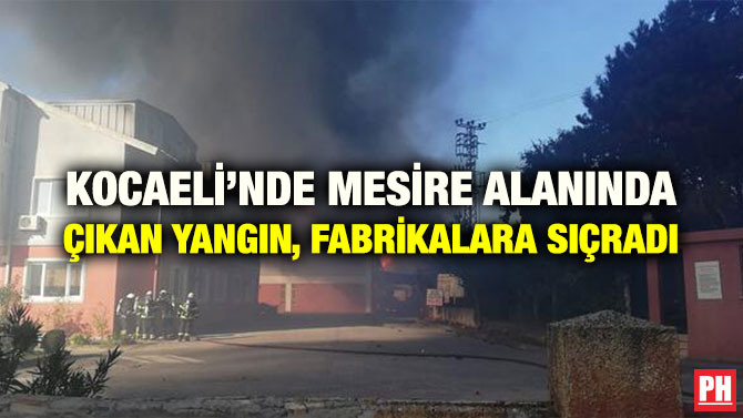 KOCAELİ’NDE MESİRE ALANINDA ÇIKAN YANGIN, FABRİKALARA SIÇRADI