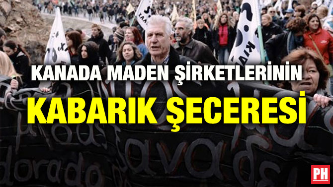 KANADA MADEN ŞİRKETLERİNİN KABARIK ŞECERESİ