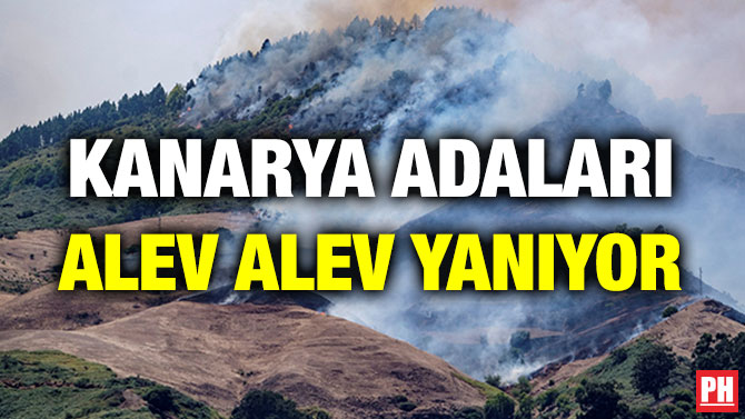 KANARYA ADALARI ALEV ALEV YANIYOR